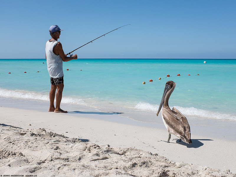 En fiskare och en pelikan
