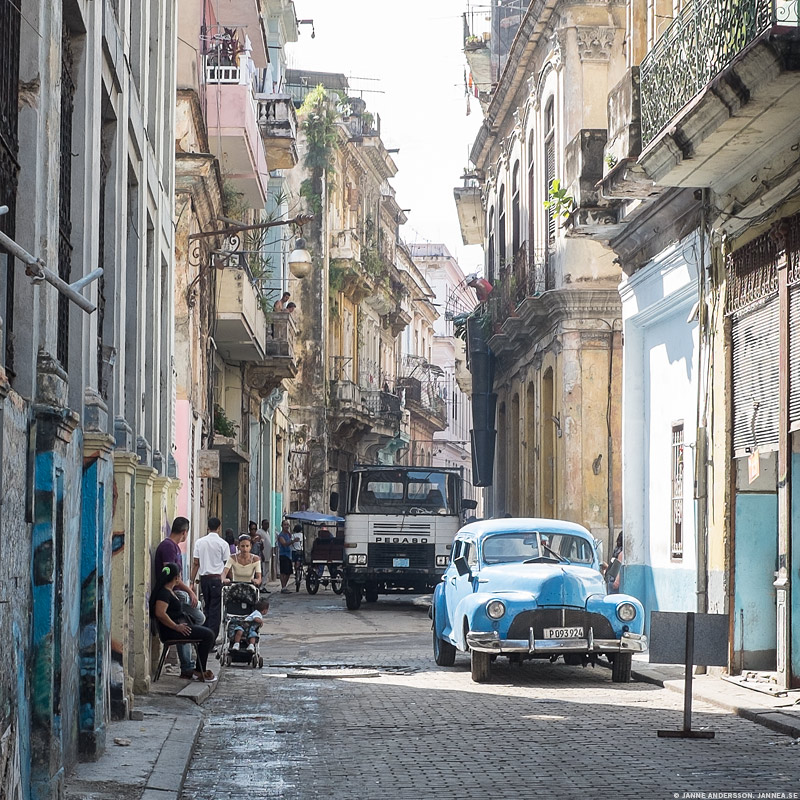 En gata i Havanna