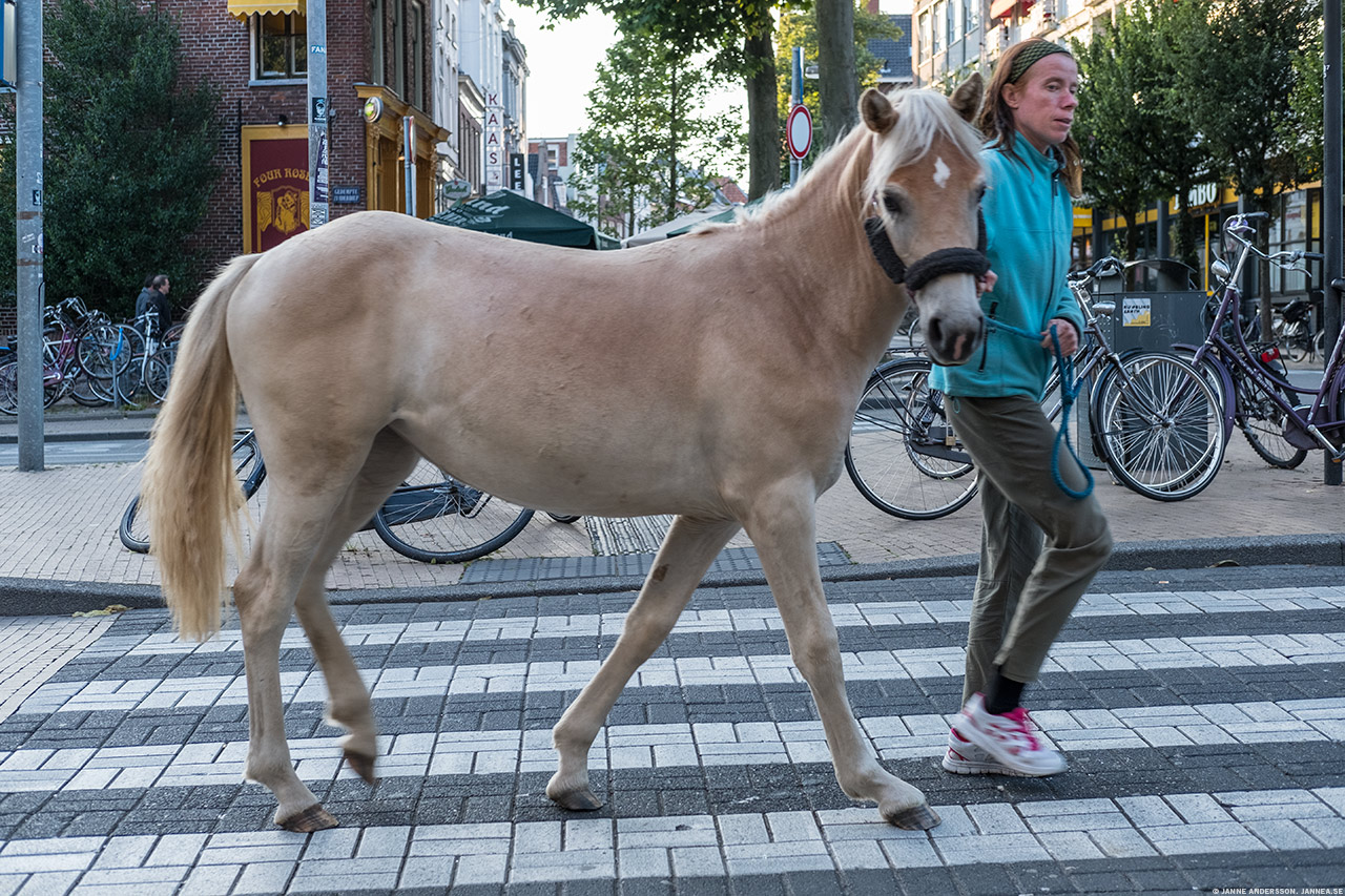 Groningen i Holland | © Janne A