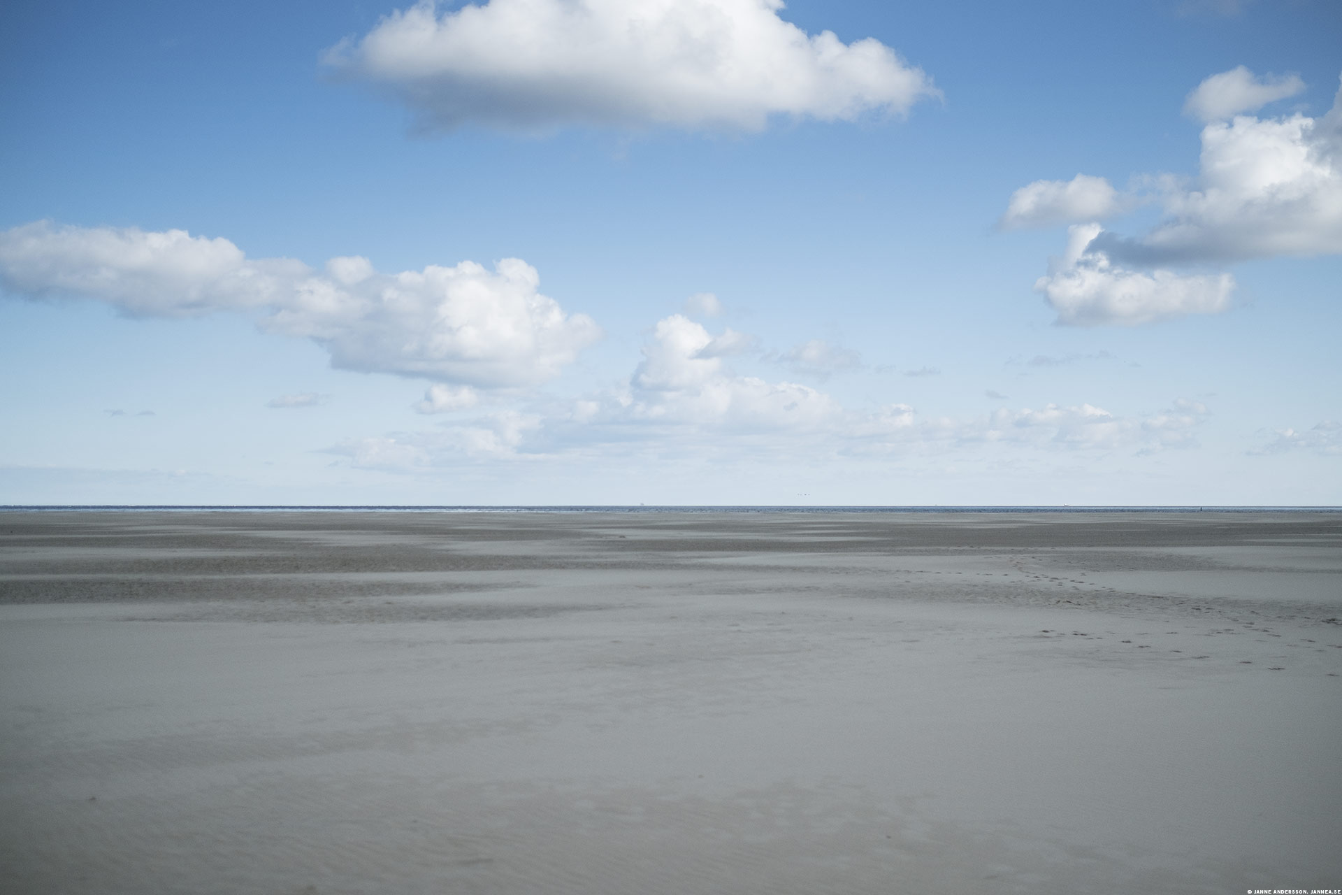 Stranden på toppen av Texel | © Janne A