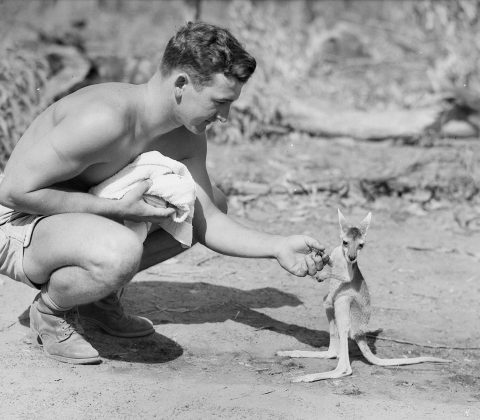 An American soldier with a joey, 1942