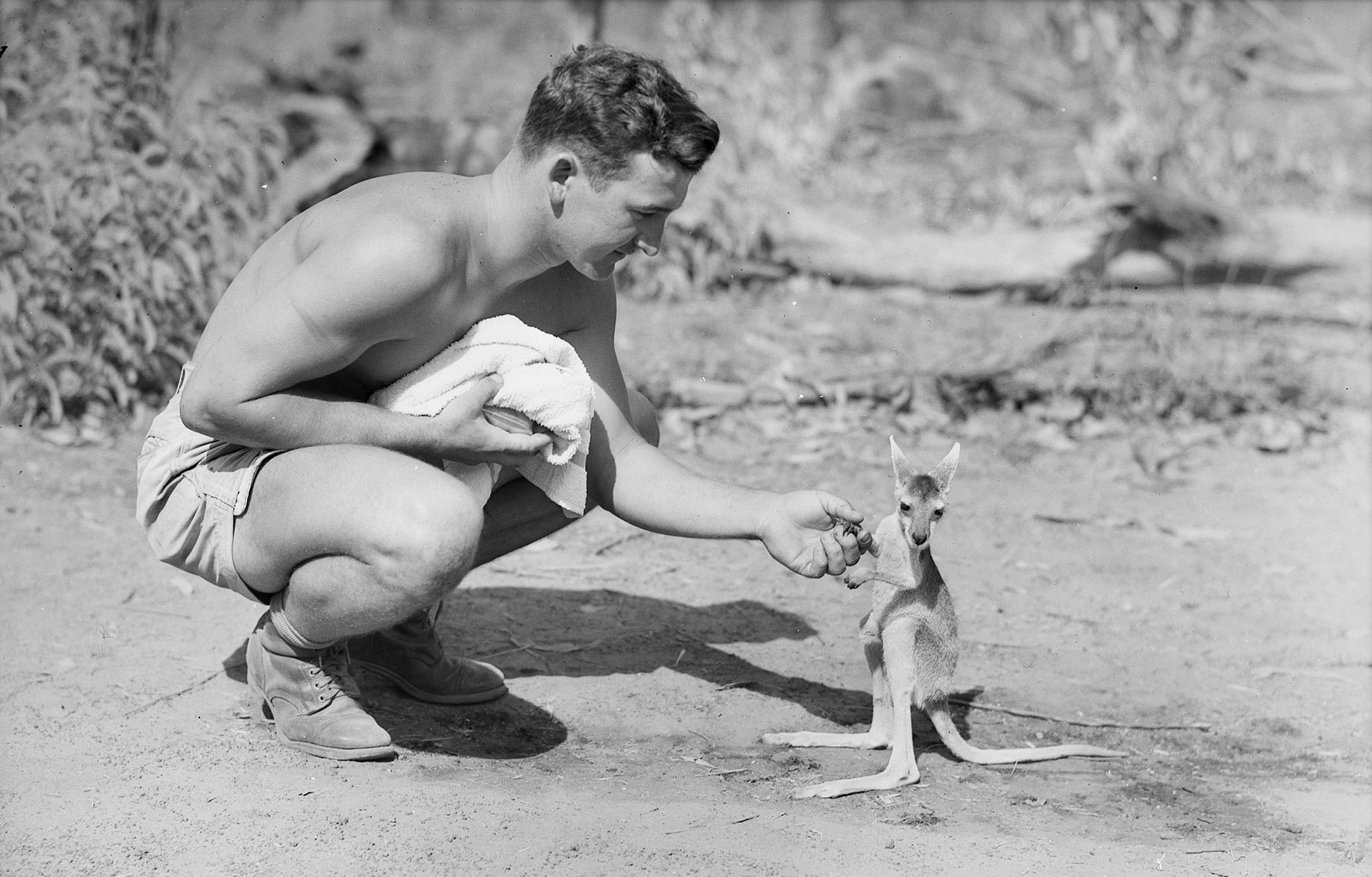 An American soldier with a joey, 1942