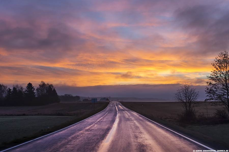 Höstmorgon | © Janne A