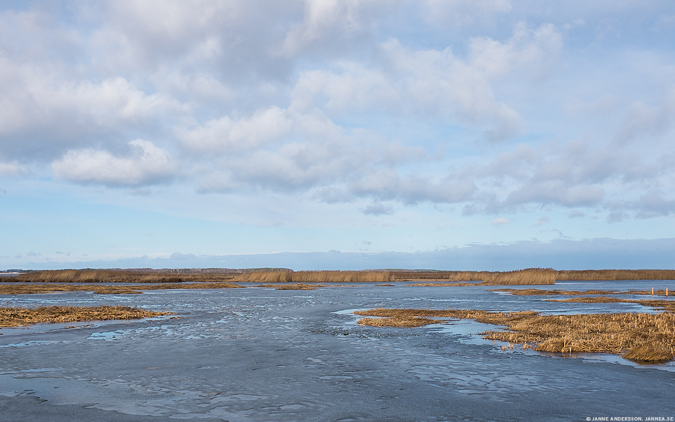 Lake Tåkern | © Janne A