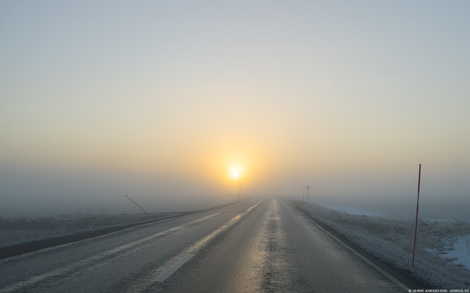 Dimma på väg till jobbet | © Janne A