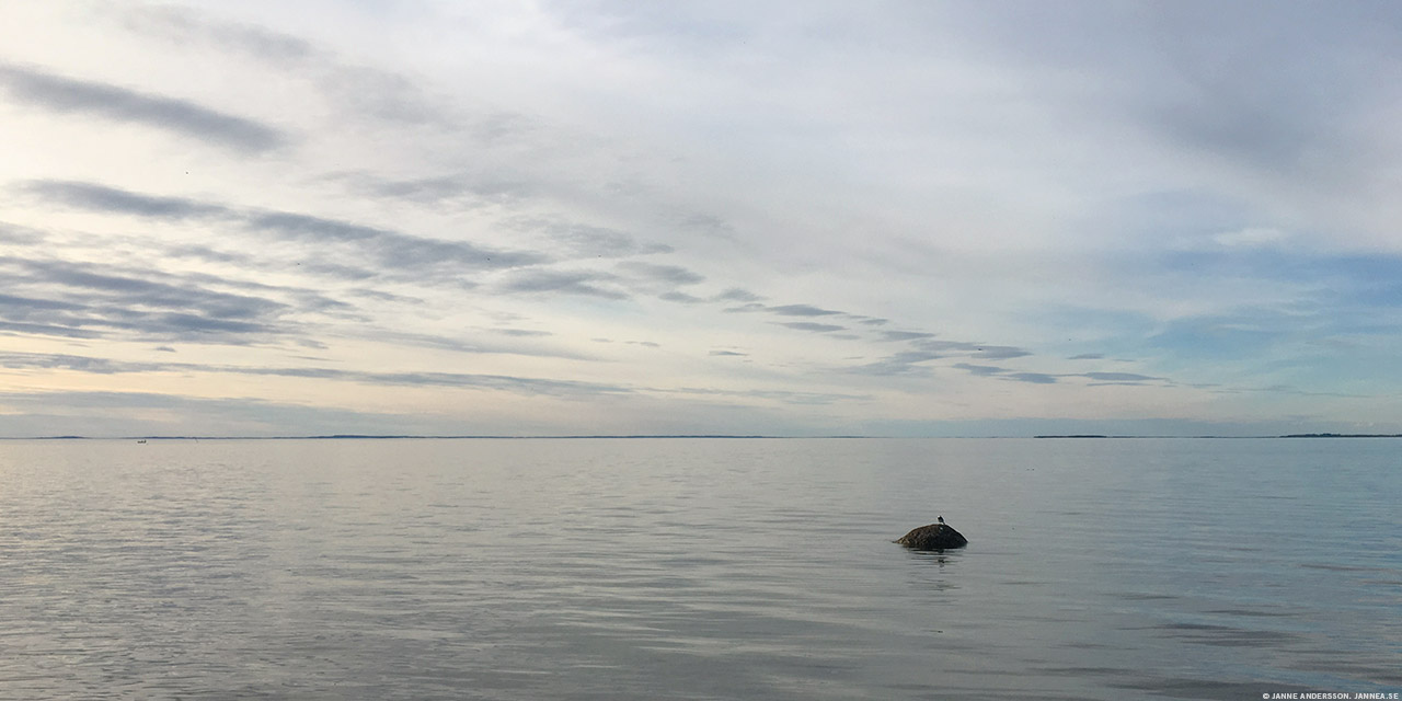 Vätternvatten, sten och en liten fågel | © Janne A