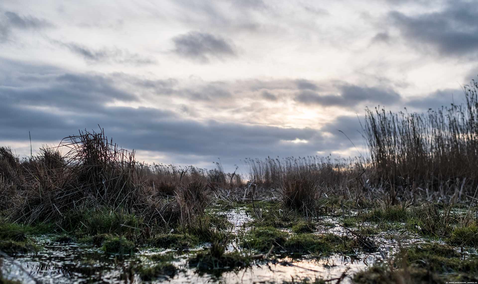 En naturtorsdag i slutet på 2016 | © Janne A