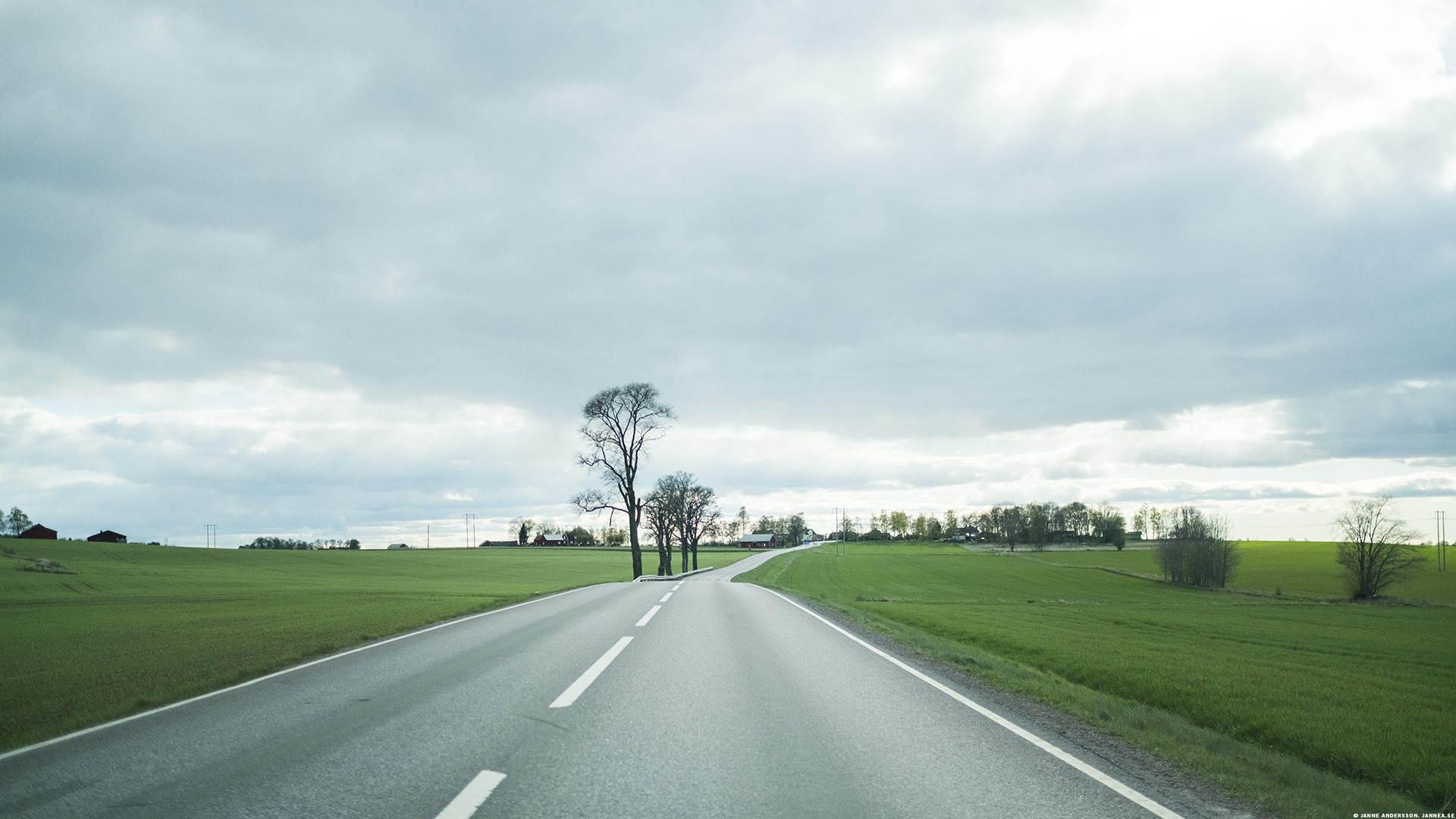 Vägen hem och gröna fält | © Janne A