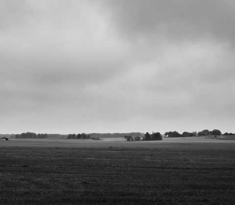 Det gråaste av gråa väder | © Janne A