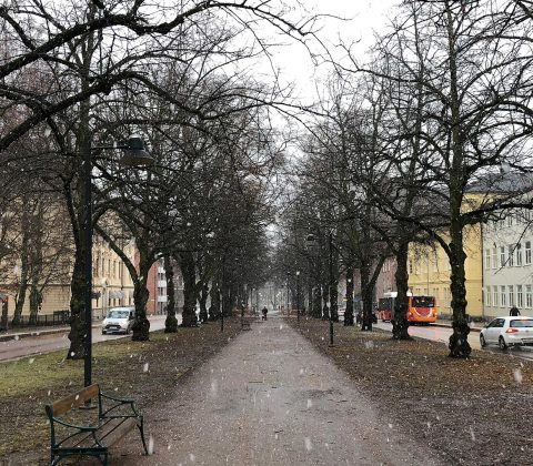 Från lunchen i snöblandat snöregn | © Janne A