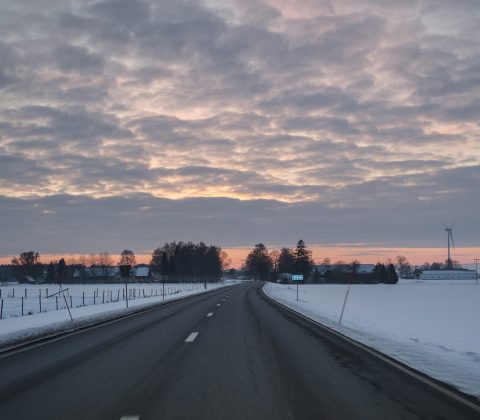 Vägen hem – i dagsljus | © Janne A