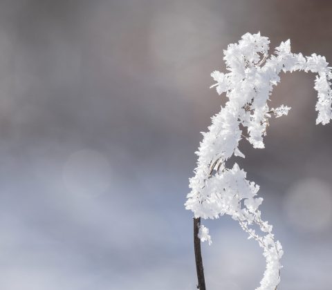 Kallt, frost och vinter | © Janne A