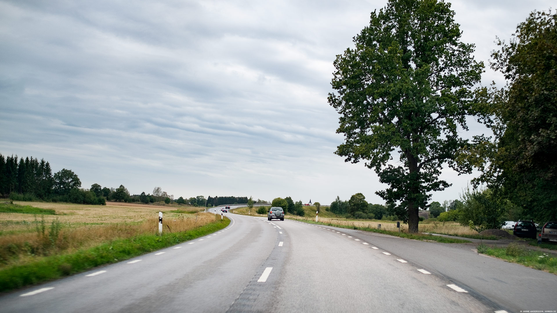 En väldigt långsam och annorlunda väg hem från jobbet. | © Janne A