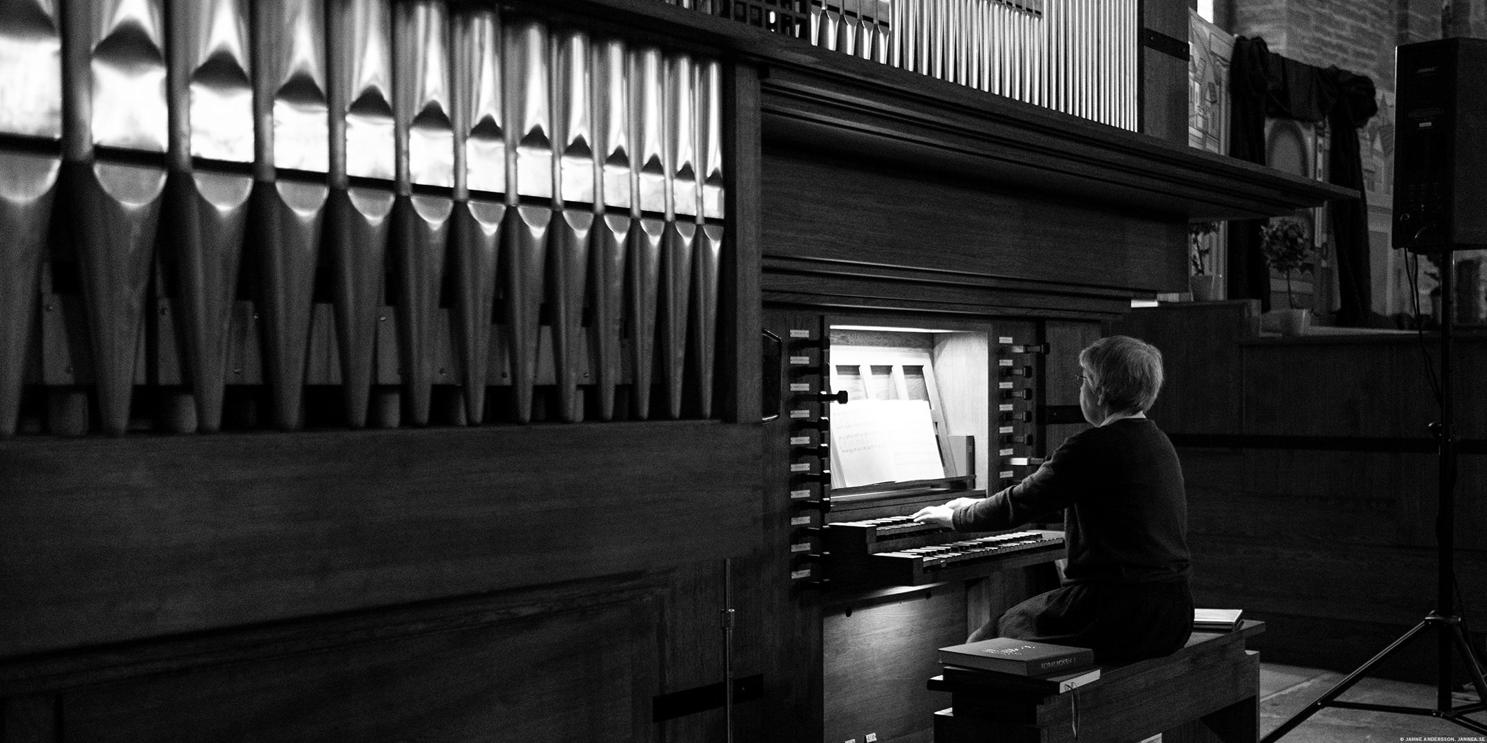 En liten tant och en stor orgel i Vadstena Klosterkyrka | © Janne A
