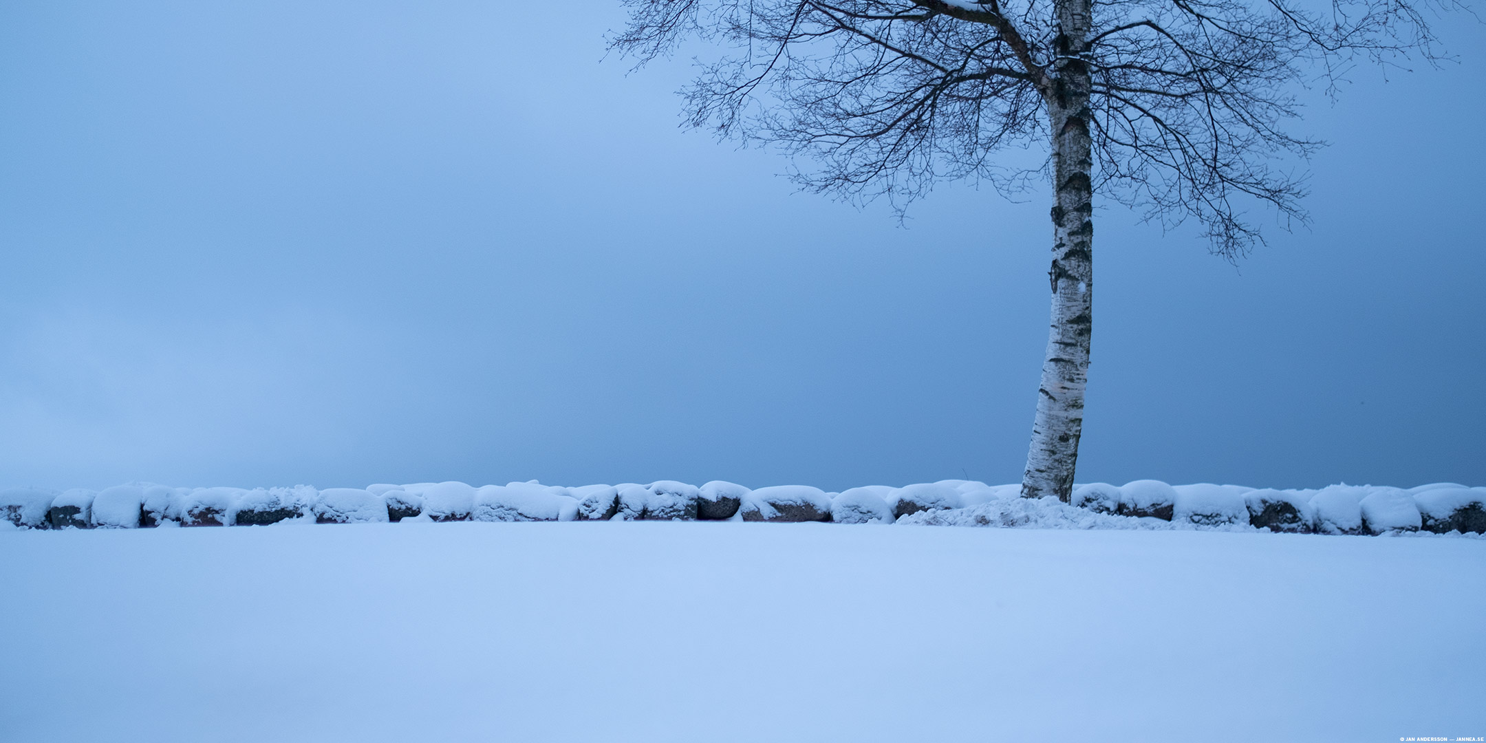 Träd vid sjö - i februari | © Jan Andersson