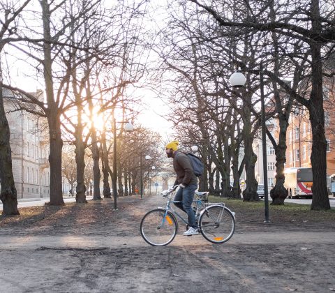 Bicicleta in the sun | © Jan Andersson