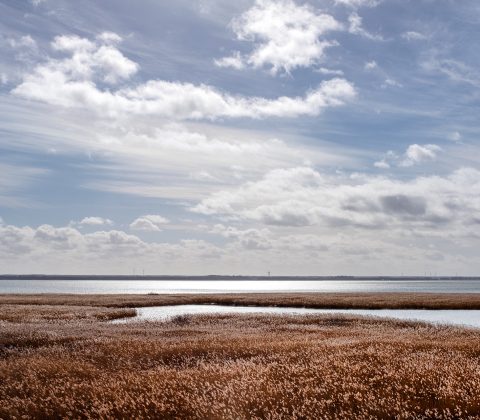 Natursöndag | © Jan Andersson