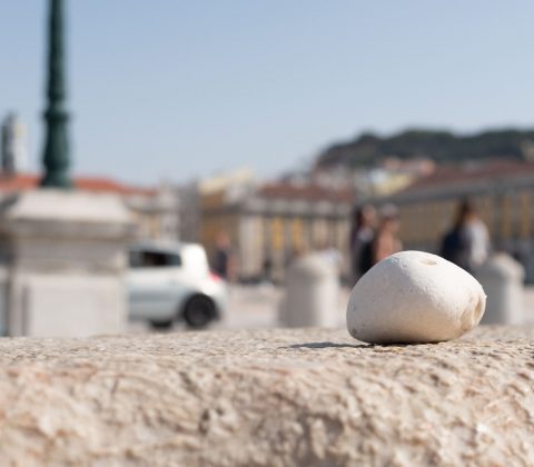 En sten från Lissabon till min samling | © Jan Andersson