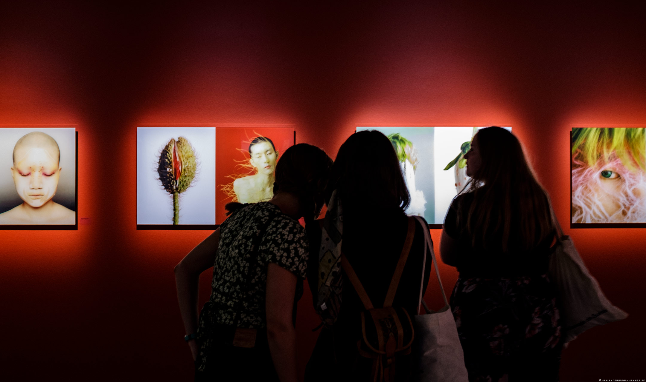 Cho Gi-Seok – Coexistence – på Fotografiska