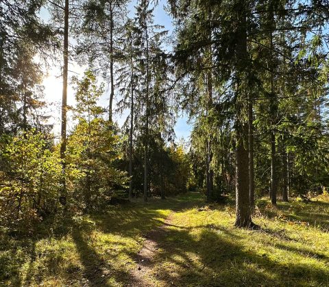 Skönsöndag och natursöndag