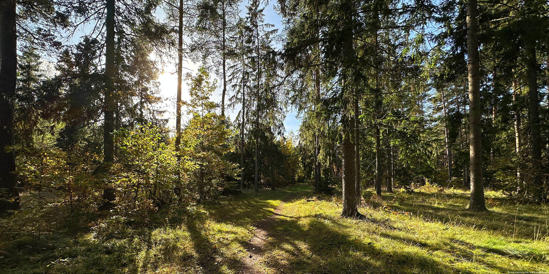 Skönsöndag och natursöndag