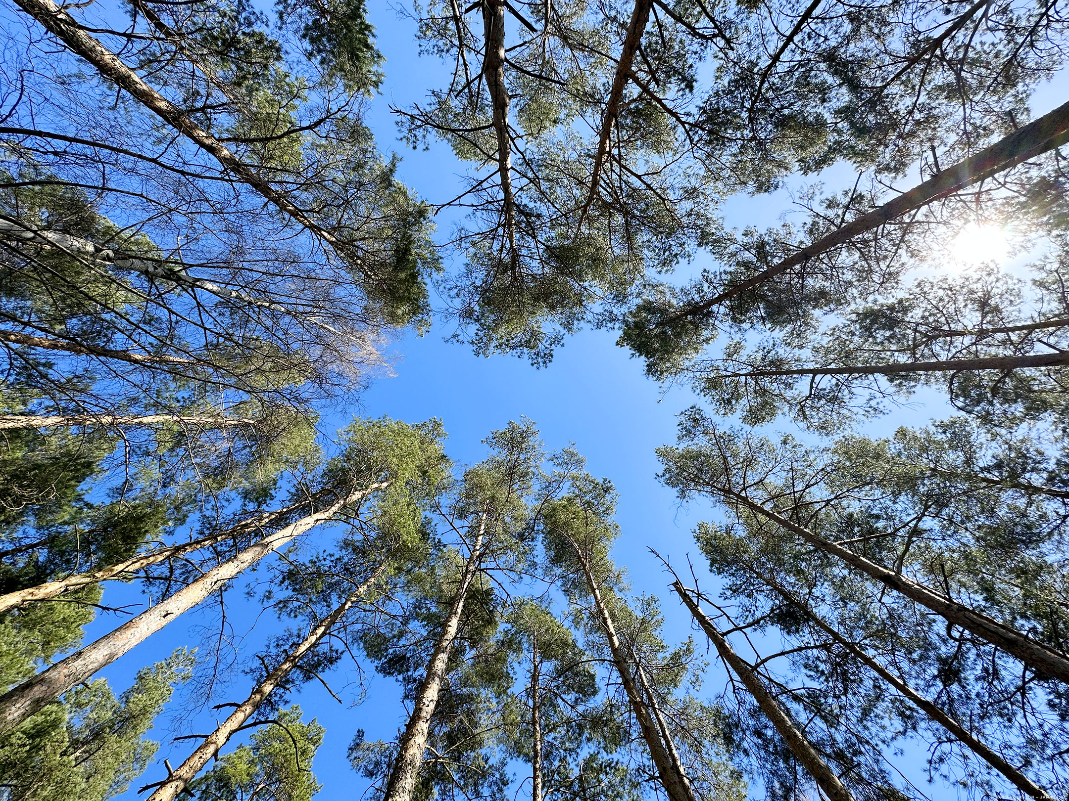 Natur igår, lättja idag