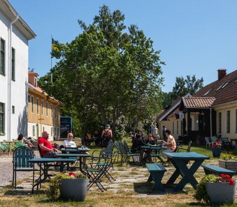 Svulstig lördag i solen