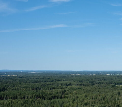 En söndag i solskenet