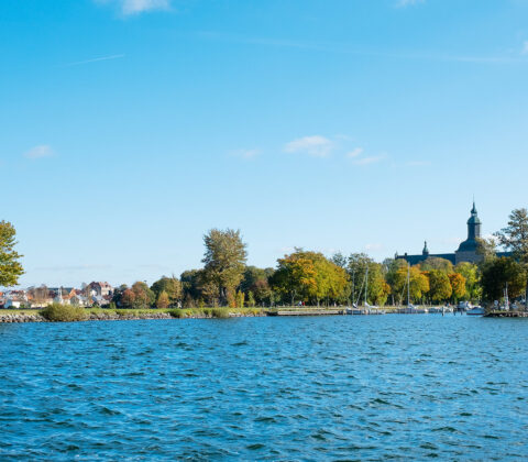 Söndagens lata lathet