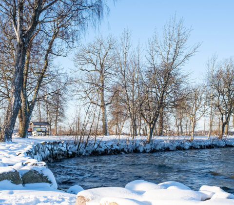 Tillståndsnivå: Lättja 100%