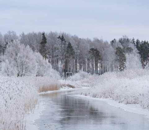 Veckoändens början är här!